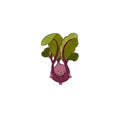 Cute Kawaii Beetroot Sticker — Happy Root Veggie Kiss-Cut Decal for Laptops & Water Bottles