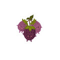 Cute Drippy Blackberries Sticker — Kawaii Fruit Laptop Decal