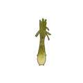 Cute Leek Vegetable Sticker — Kawaii Green Onion Kiss-Cut Decal